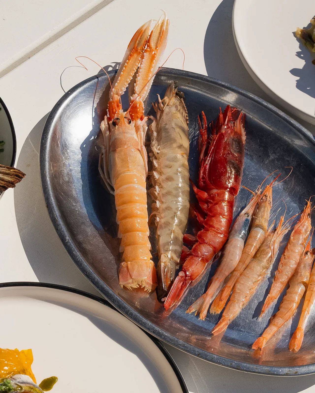Crostacei crudi su vassoio d'acciaio: scampo, mazzancolla, gambero rosso e gamberetti