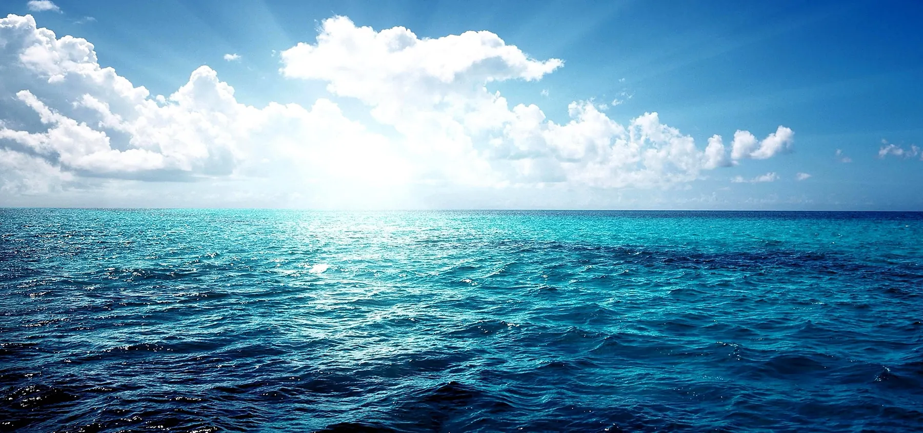 Il mare di Fregene davanti a La Scialuppa